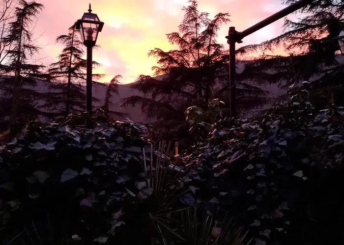 Story Via Della Resistenza 3 La Noce Mercatale Bo ベッド・アンド・ブレックファスト オッツァーノ・デッレミーリア