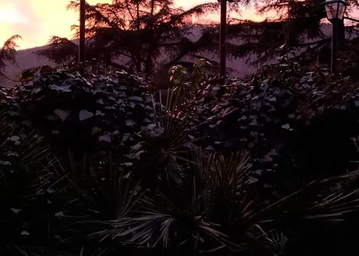 ベッド・アンド・ブレックファスト Story Via Della Resistenza 3 La Noce Mercatale Bo